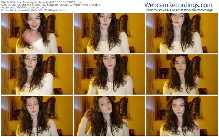 2025/10/15/mfc-porcelaincity-17-20-32