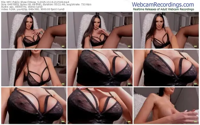 2025/10/16/mfc-meow_s-21-15-49