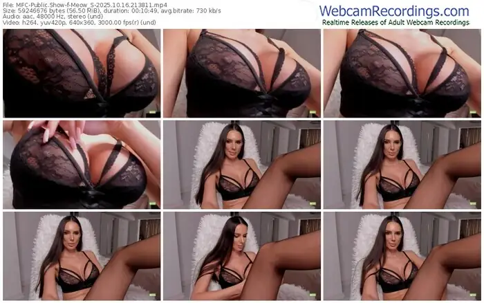 2025/10/16/mfc-meow_s-21-38-11