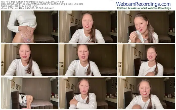 2025/10/17/mfc-agenttease-00-17-37