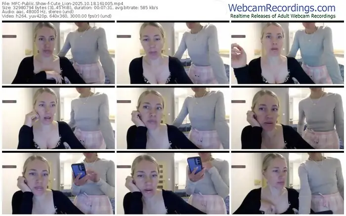 2025/10/18/mfc-cute_lion-16-10-05