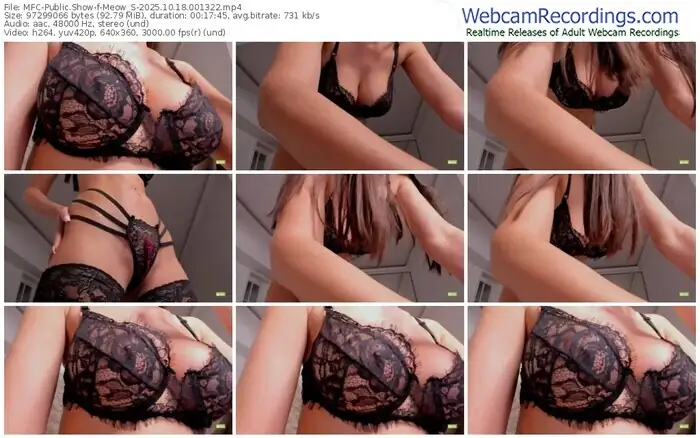 2025/10/18/mfc-meow_s-00-13-22