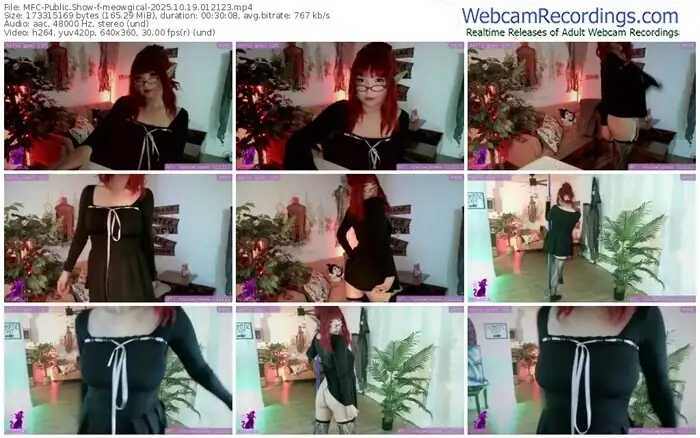 2025/10/19/mfc-meowgical-01-21-23