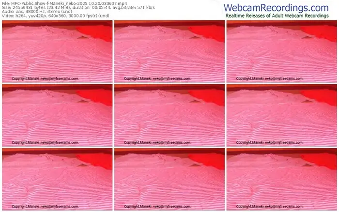 2025/10/20/mfc-maneki_neko-03-36-07