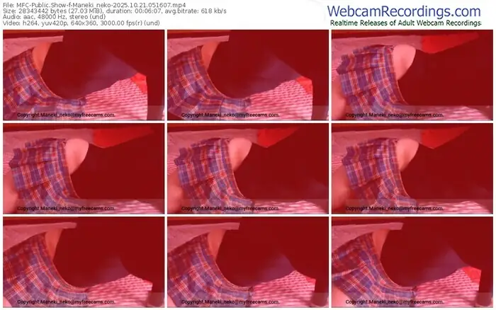 2025/10/21/mfc-maneki_neko-05-16-07