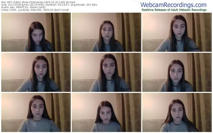 2025/10/22/mfc-elariavee-16-41-29