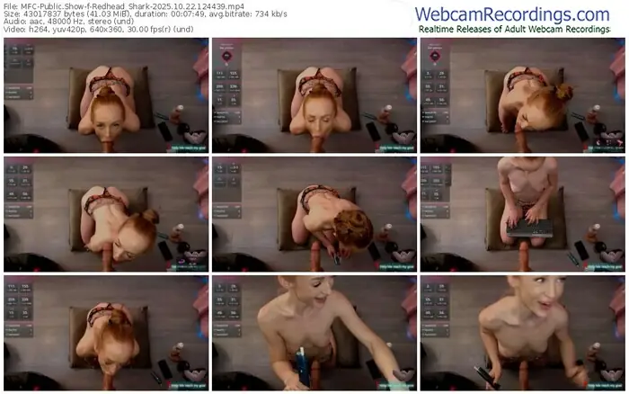 2025/10/22/mfc-redhead_shark-12-44-39