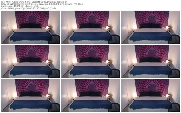 2025/10/23/mfc-eh1_scarlett-03-30-15