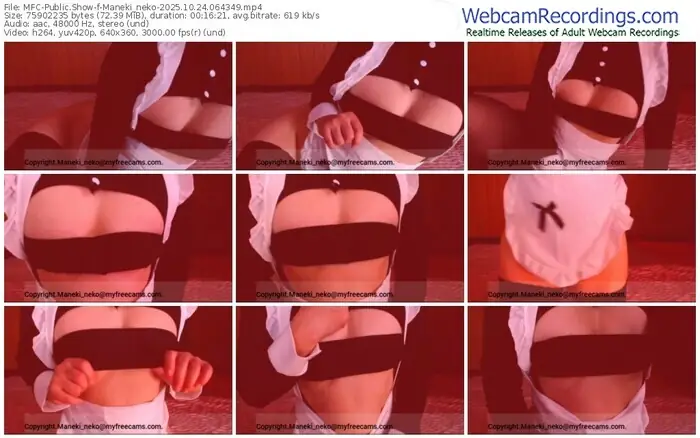 2025/10/24/mfc-maneki_neko-06-43-49