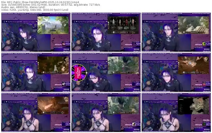 2025/10/24/mfc-wildwyliepm-02-32-13