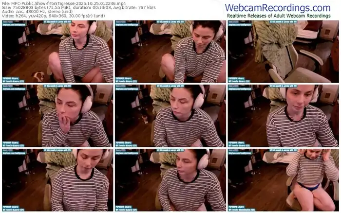 2025/10/25/mfc-tonitigresse-01-22-46