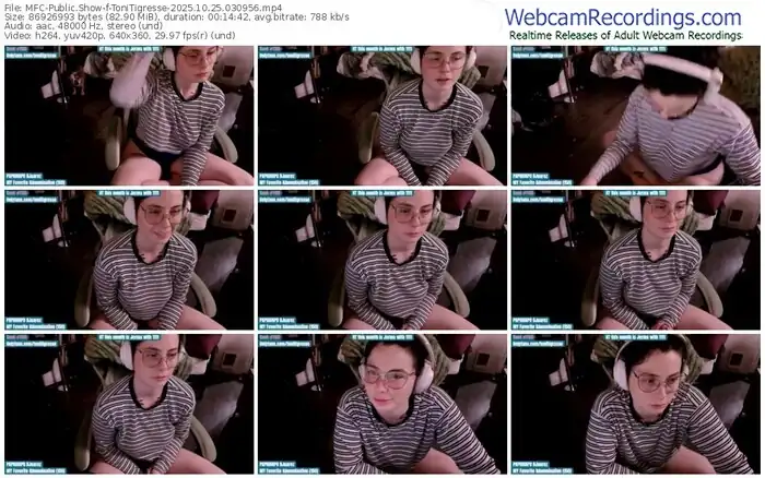 2025/10/25/mfc-tonitigresse-03-09-56