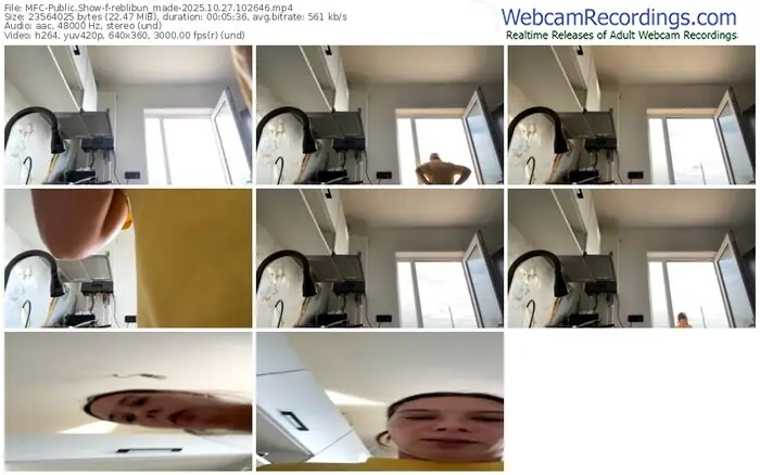 2025/10/27/mfc-reblibun_made-10-26-46