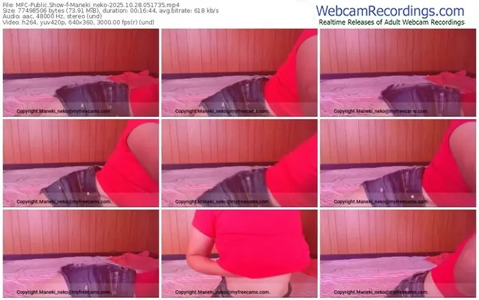 2025/10/28/mfc-maneki_neko-05-17-35