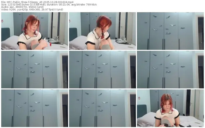 2025/10/28/mfc-sleepy_af-00-16-04