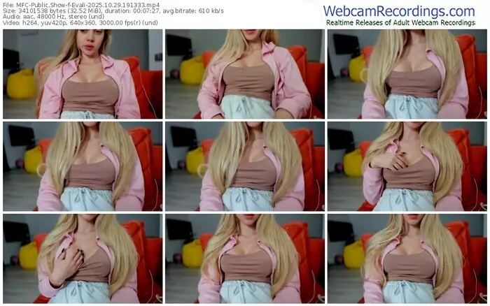 2025/10/29/mfc-evali-19-13-33