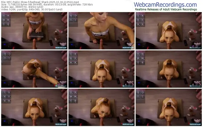 2025/10/30/mfc-redhead_shark-21-35-10