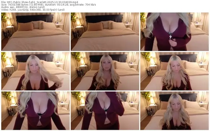 2025/10/30/mfc-eh1_scarlett-03-40-39