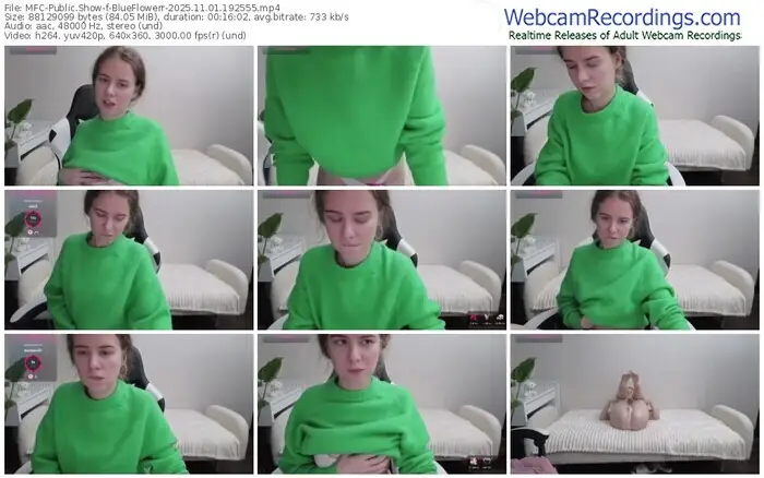 2025/11/01/mfc-blueflowerr-19-25-55