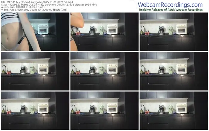 2025/11/01/mfc-kattgalle-02-01-36