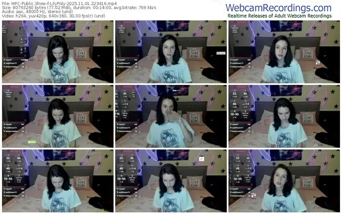 2025/11/01/mfc-lilypoly-22-34-16