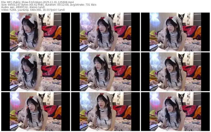 2025/11/01/mfc-silviajpn-12-56-08