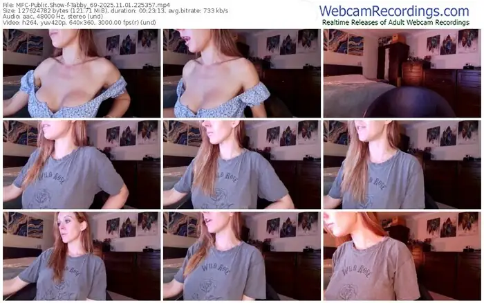 2025/11/01/mfc-tabby_69-22-53-57