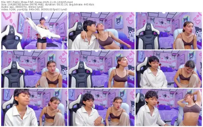 2025/11/01/mfc-tefi_meow-16-32-05