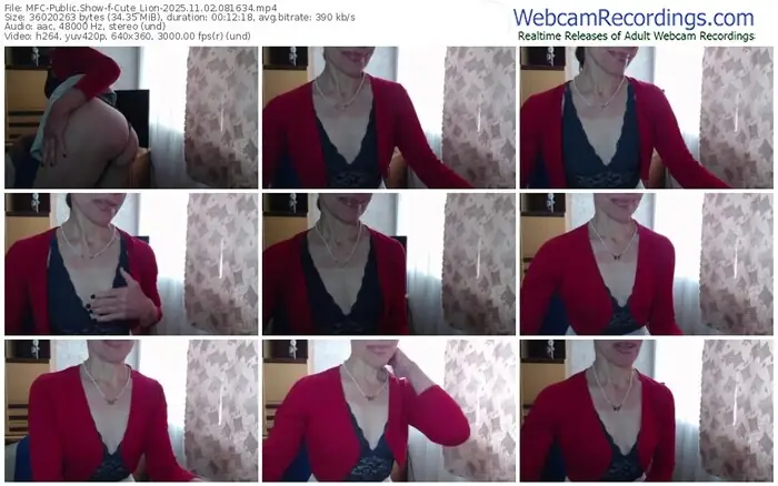 2025/11/02/mfc-cute_lion-08-16-34