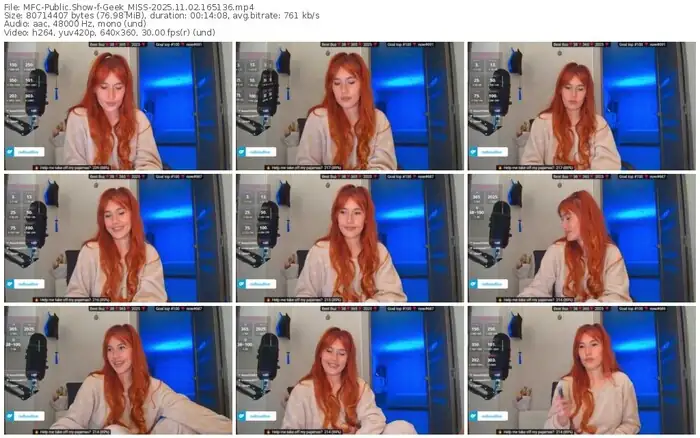 2025/11/02/mfc-geek_miss-16-51-36