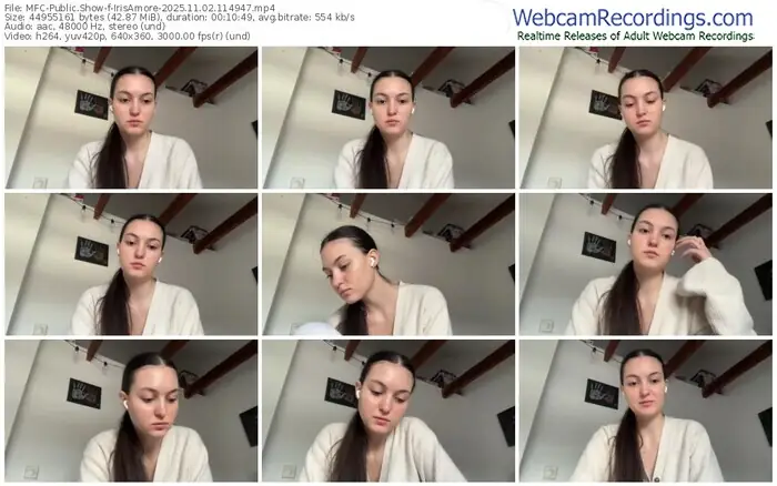 2025/11/02/mfc-irisamore-11-49-47