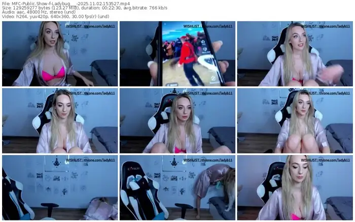 2025/11/02/mfc-ladybug___-15-35-27