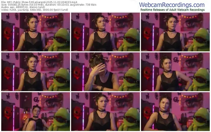 2025/11/02/mfc-m1agarand-00-40-33