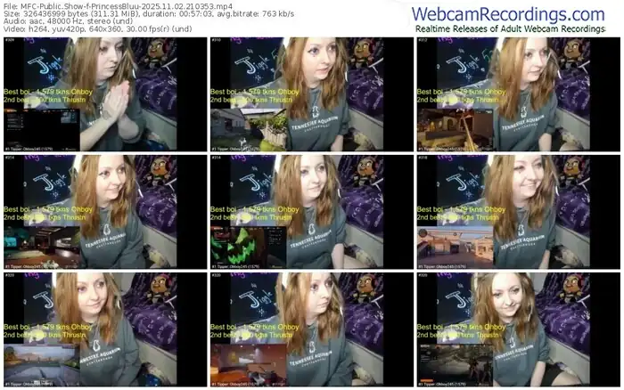 2025/11/02/mfc-princessbluu-21-03-53