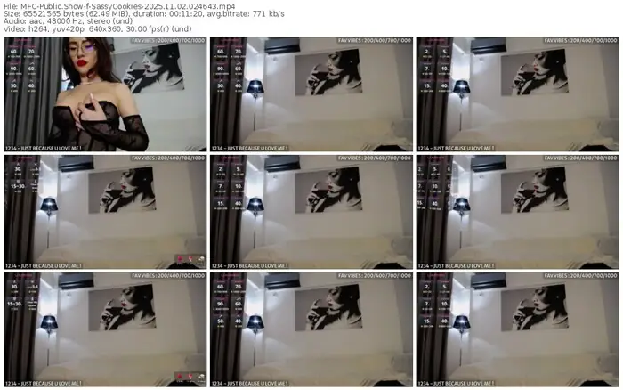 2025/11/02/mfc-sassycookies-02-46-43