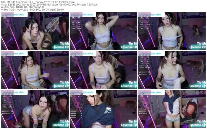 2025/11/03/mfc-lil__bunny-15-35-27