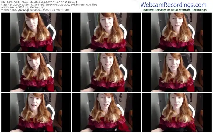 2025/11/03/mfc-nikifoks18-03-49-46