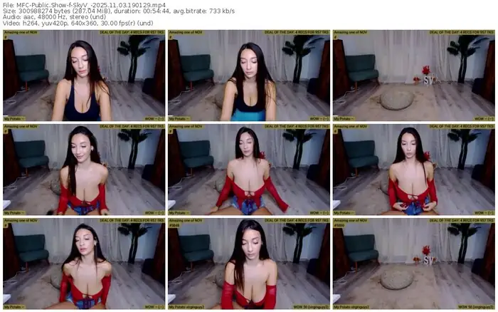 2025/11/03/mfc-skyv_-19-01-29