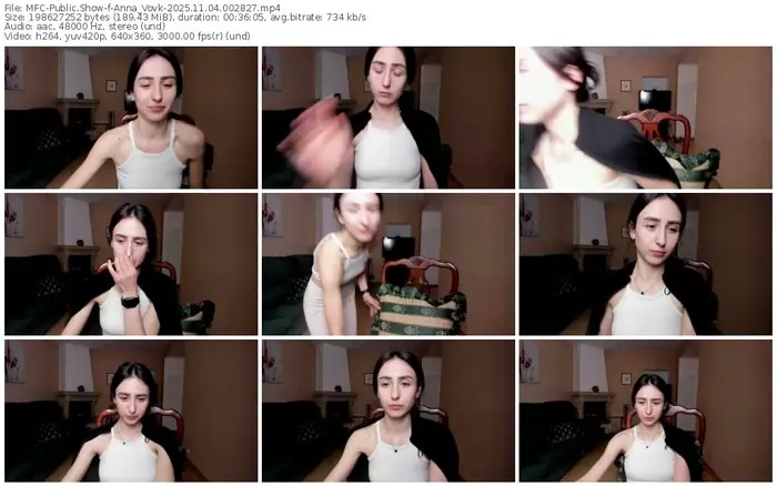 2025/11/04/mfc-anna_vovk-00-28-27