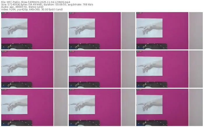 2025/11/04/mfc-erinon-12-39-09