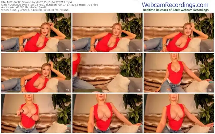 2025/11/04/mfc-katyli-22-37-17