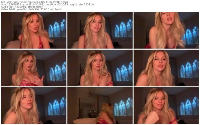 2025/11/04/mfc-tatitate-23-34-16