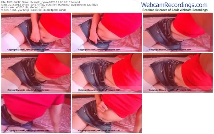 2025/11/05/mfc-maneki_neko-03-16-54