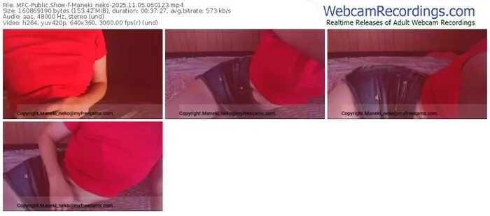 2025/11/05/mfc-maneki_neko-06-01-23