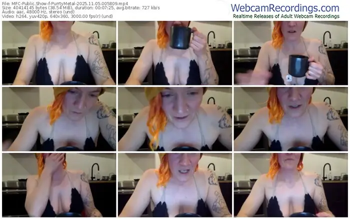2025/11/05/mfc-purrtymetal-00-58-09