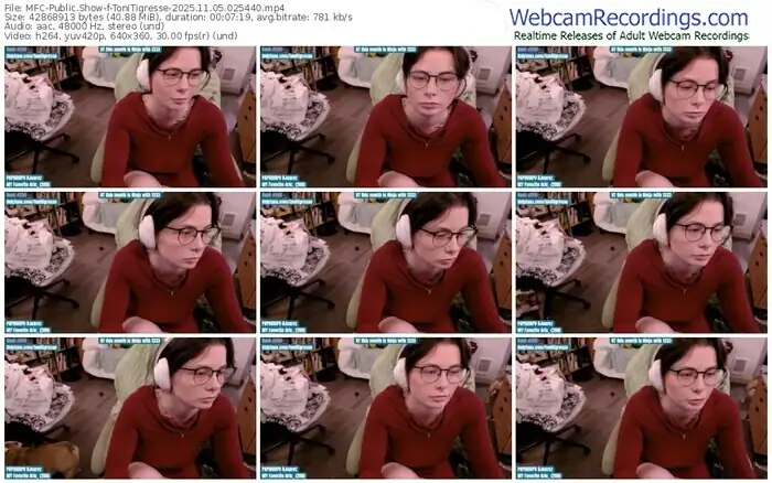 2025/11/05/mfc-tonitigresse-02-54-40