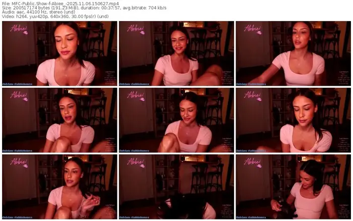 2025/11/06/mfc-abiee_-15-06-27