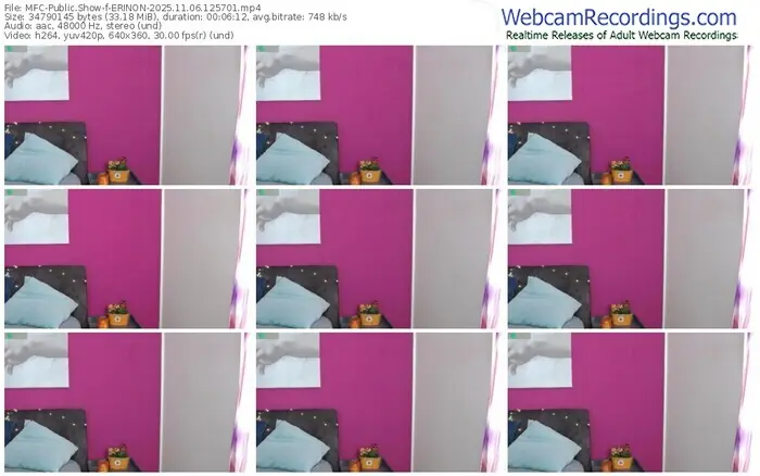 2025/11/06/mfc-erinon-12-57-01