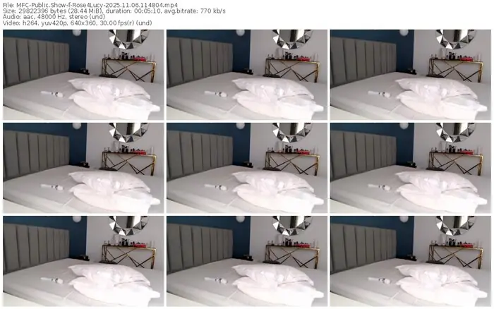 2025/11/06/mfc-rose4lucy-11-48-04