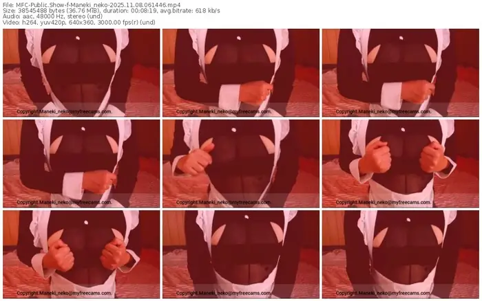 2025/11/08/mfc-maneki_neko-06-14-46
